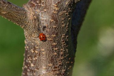 Similar image 22772612