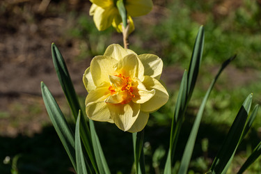 Similar image 22772615