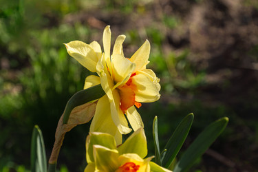 Similar image 22772618