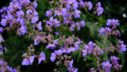 Similar image 22770503