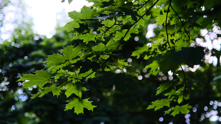 Similar image 22770508