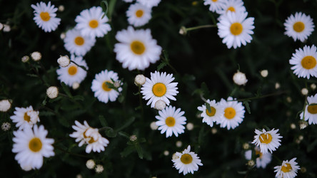 Similar image 22770511