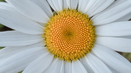 Similar image 22773261