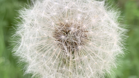 Similar image 22770523