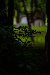 Similar image 22770474