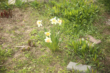 Similar image 22775072