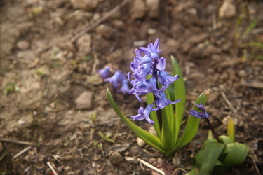 Similar image 22772199