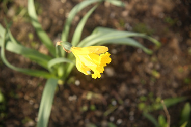 Similar image 22773279