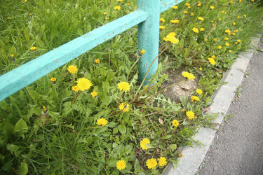Similar image 22777839