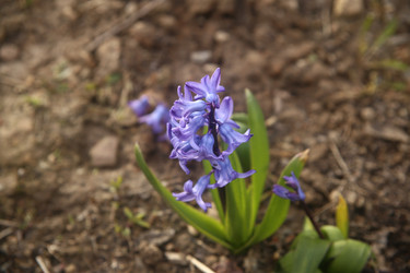 Similar image 22772213