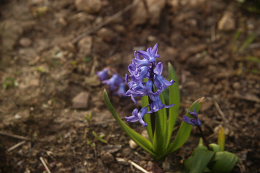 Similar image 22772214