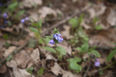 Similar image 22772216