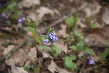 Similar image 22772226