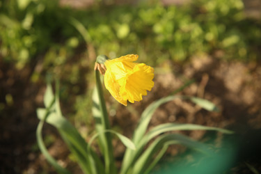 Similar image 22777845