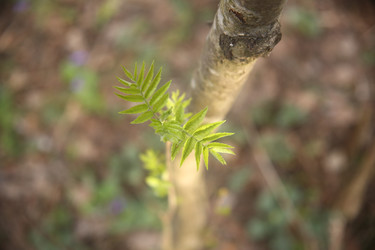 Similar image 22777849