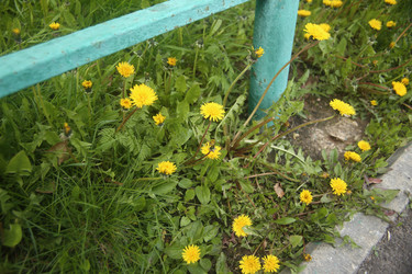 Similar image 22773281