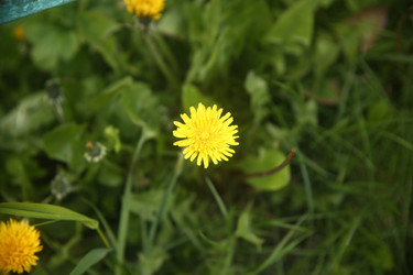 Similar image 22772228