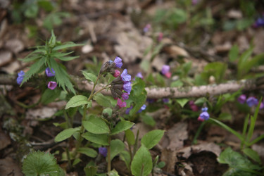 Similar image 22772229