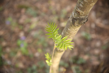 Similar image 22777854