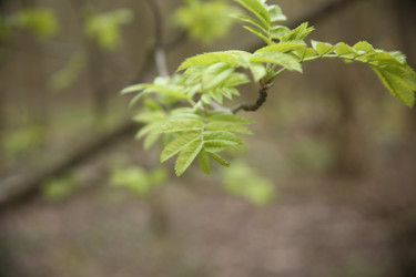 Similar image 22782418