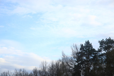 Similar image 22786496