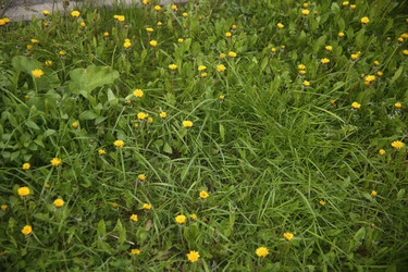 Similar image 22777855