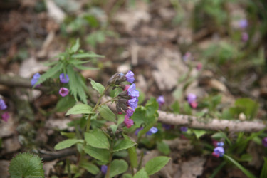 Similar image 22772245