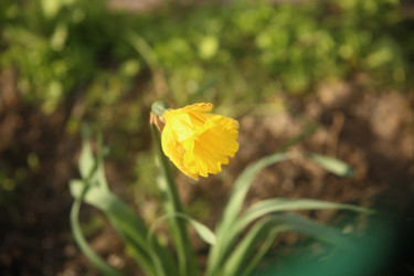 Similar image 22773302