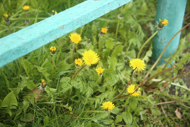 Similar image 22773303