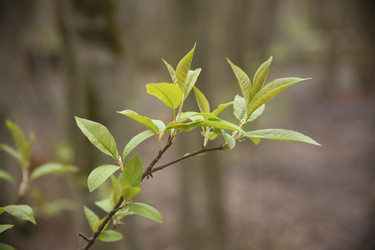 Similar image 22782419