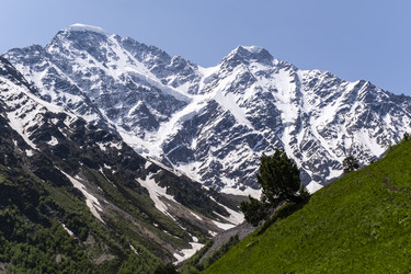 Similar image 22773285
