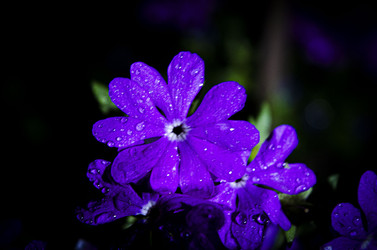 Similar image 22770492