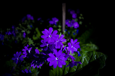 Similar image 22770494