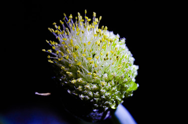 Similar image 22770495