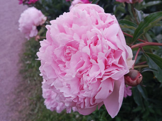 Similar image 22770661