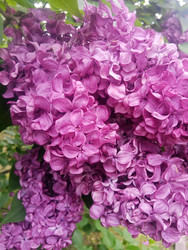 Similar image 22770663