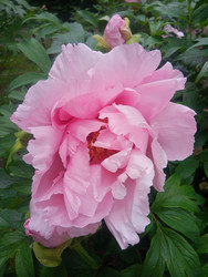 Similar image 22770666