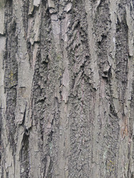 Similar image 22770668