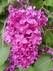 Similar image 22770669