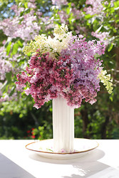 Similar image 22770597