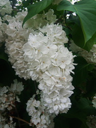 Similar image 22770671