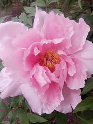 Similar image 22770673