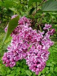 Similar image 22770677
