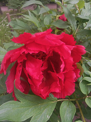 Similar image 22770679