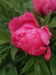 Similar image 22770680