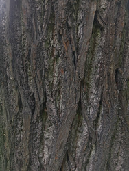 Similar image 22770682