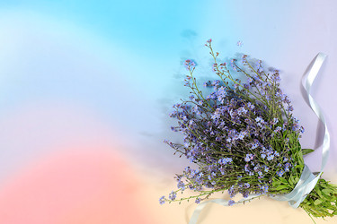 Similar image 22770626