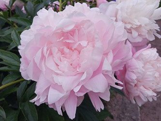 Similar image 22770685