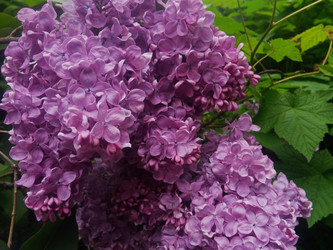 Similar image 22770687