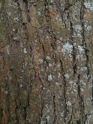 Similar image 22770688